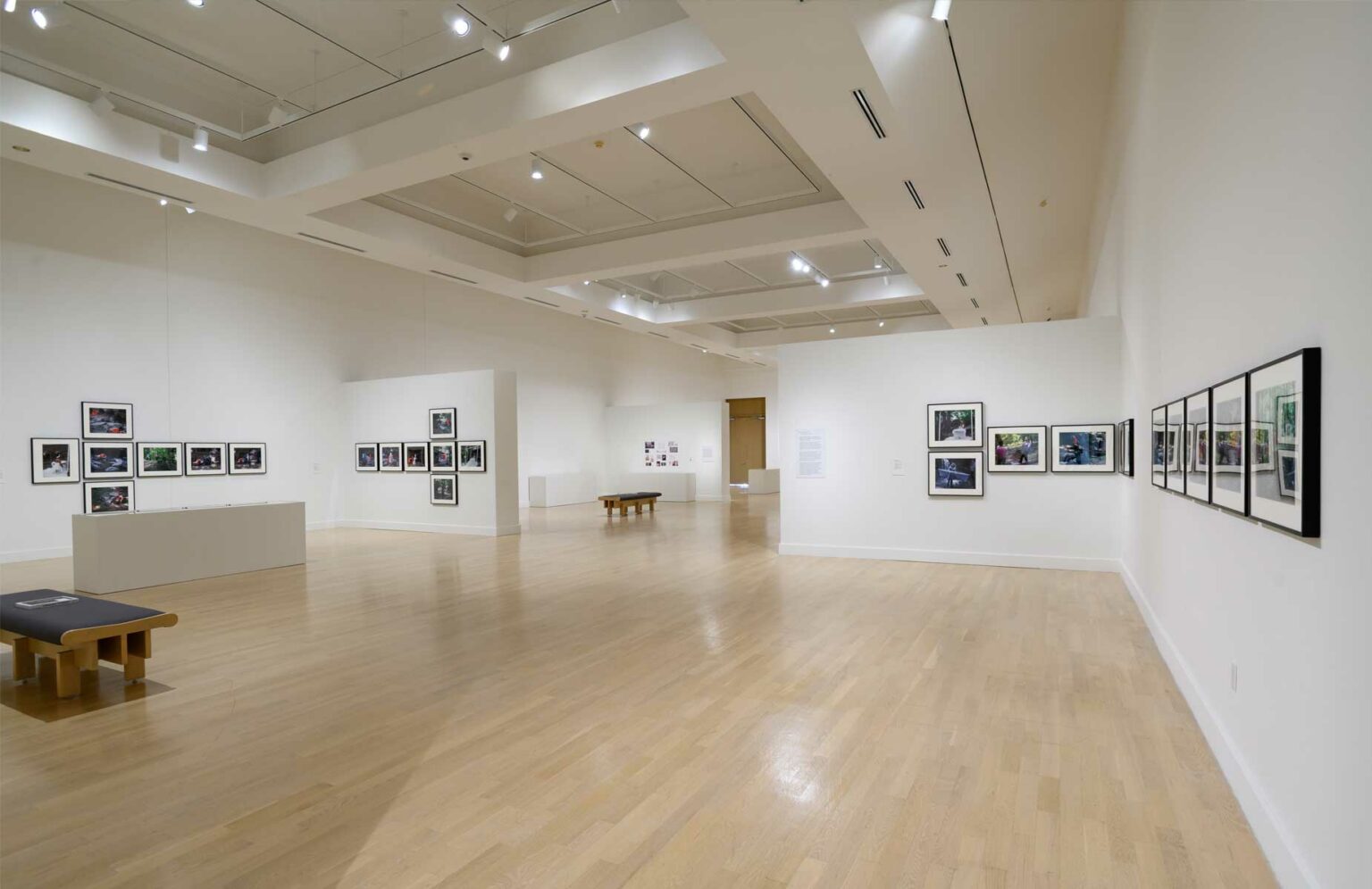 Lorraine O'Grady Both/And Weatherspoon Art Museum