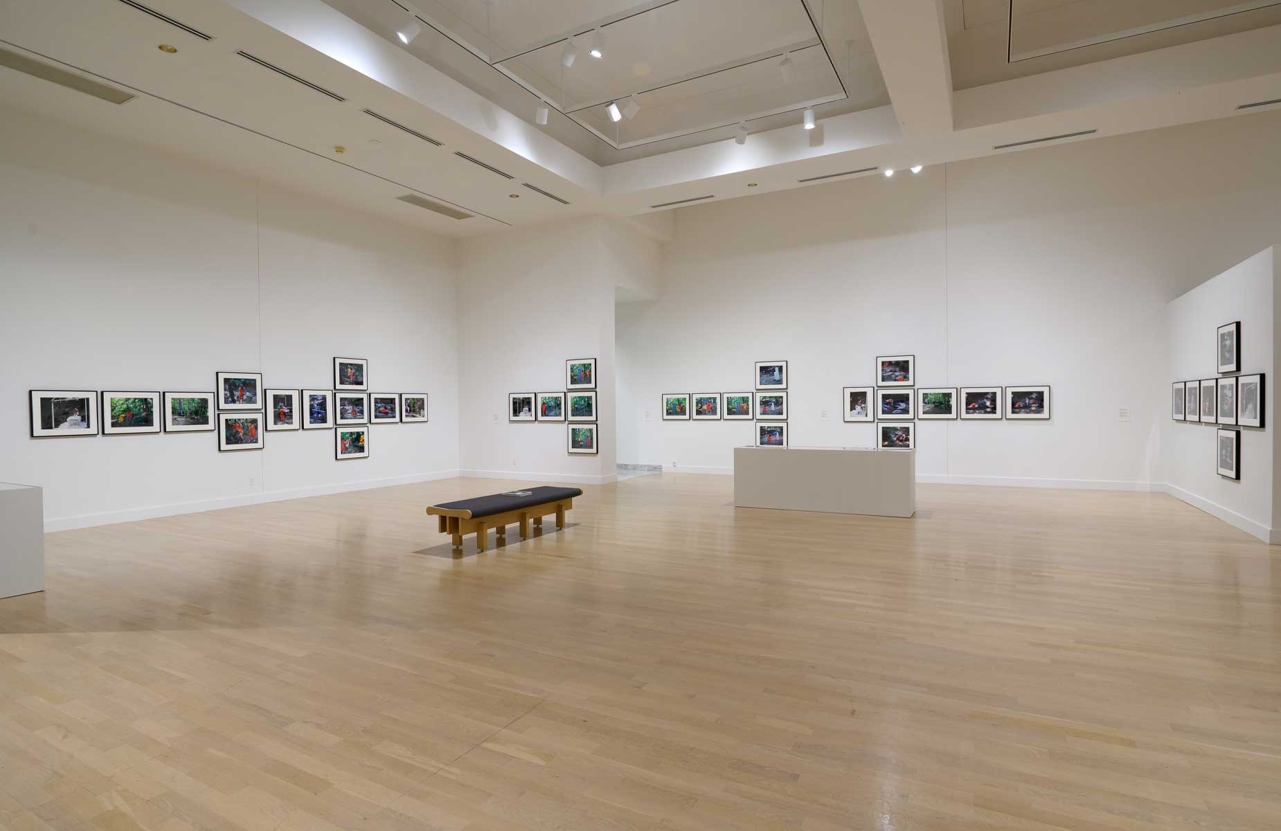 Lorraine O'Grady Both/And Install 2 Weatherspoon Art Museum